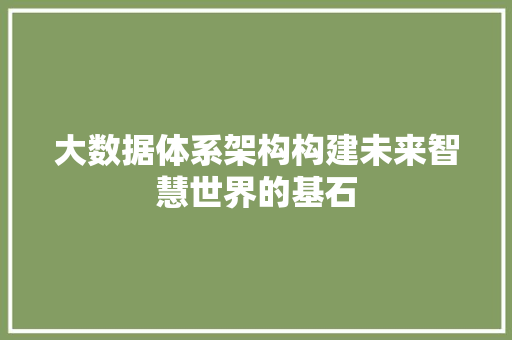 大数据体系架构构建未来智慧世界的基石