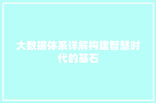 大数据体系详解构建智慧时代的基石