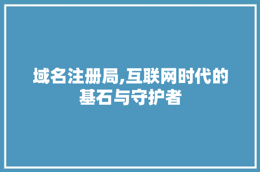 域名注册局,互联网时代的基石与守护者