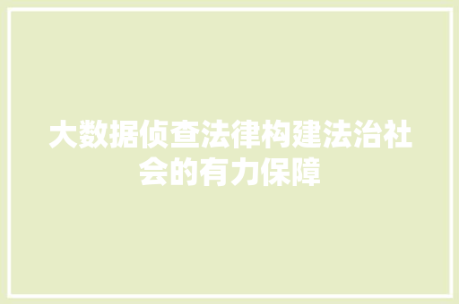 大数据侦查法律构建法治社会的有力保障