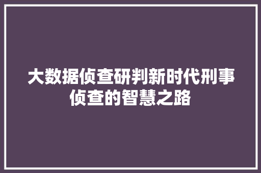 大数据侦查研判新时代刑事侦查的智慧之路