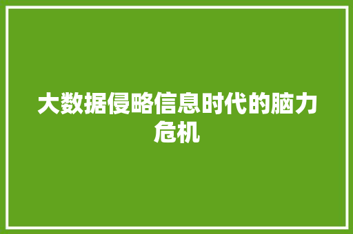 大数据侵略信息时代的脑力危机