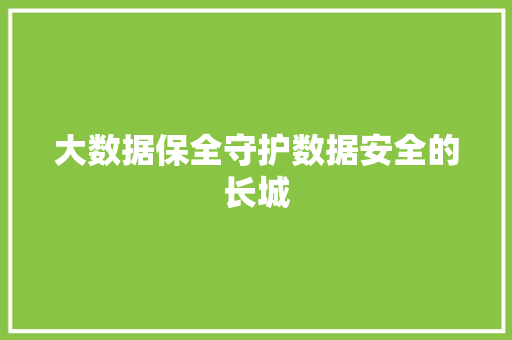 大数据保全守护数据安全的长城