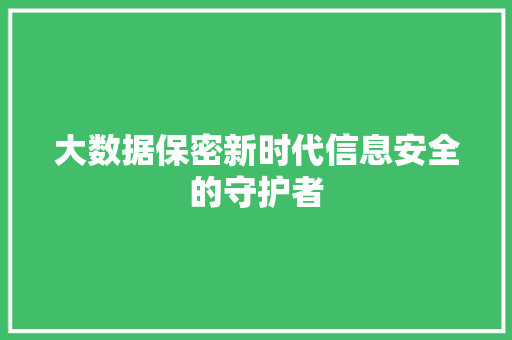 大数据保密新时代信息安全的守护者