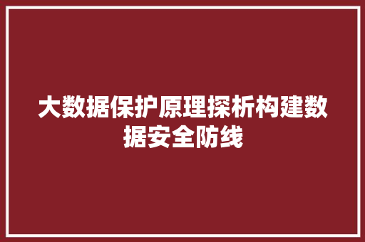 大数据保护原理探析构建数据安全防线