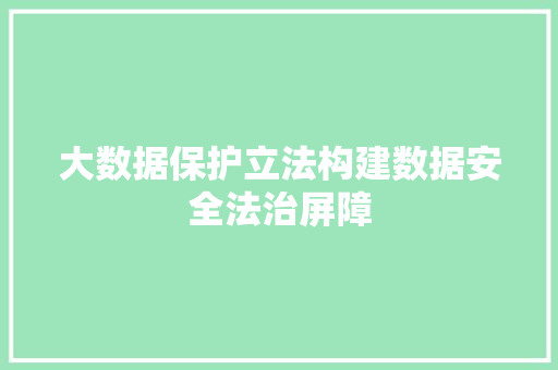 大数据保护立法构建数据安全法治屏障