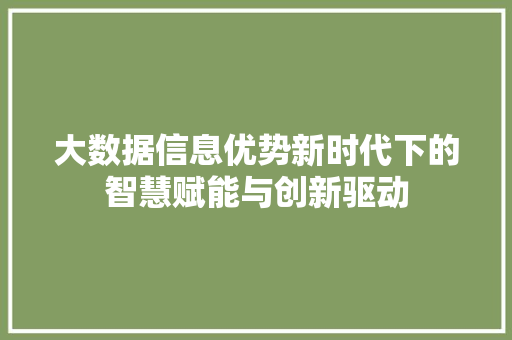 大数据信息优势新时代下的智慧赋能与创新驱动