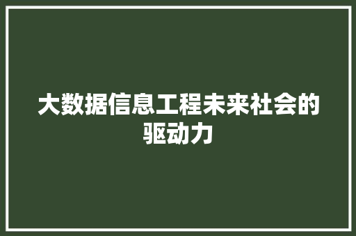 大数据信息工程未来社会的驱动力