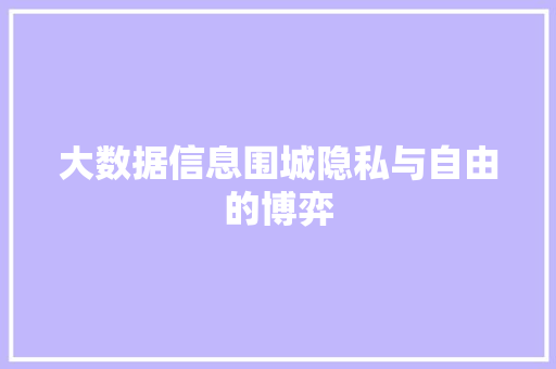 大数据信息围城隐私与自由的博弈