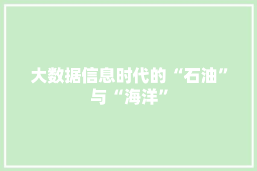 大数据信息时代的“石油”与“海洋”
