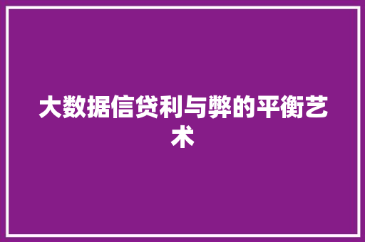 大数据信贷利与弊的平衡艺术