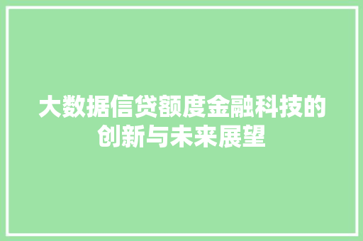 大数据信贷额度金融科技的创新与未来展望