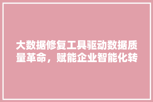 大数据修复工具驱动数据质量革命，赋能企业智能化转型