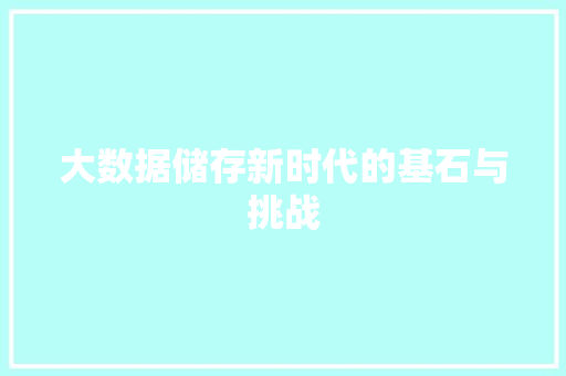 大数据储存新时代的基石与挑战