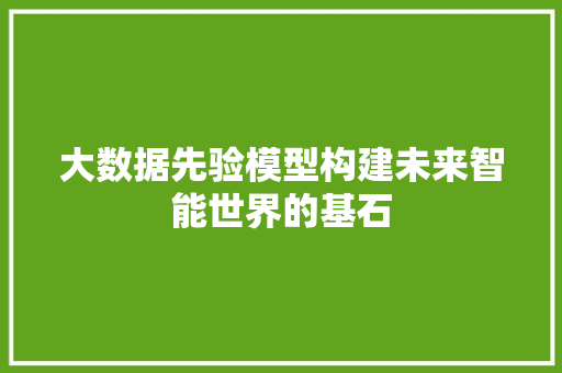 大数据先验模型构建未来智能世界的基石