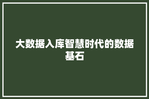 大数据入库智慧时代的数据基石