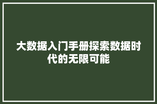 大数据入门手册探索数据时代的无限可能 Web前端