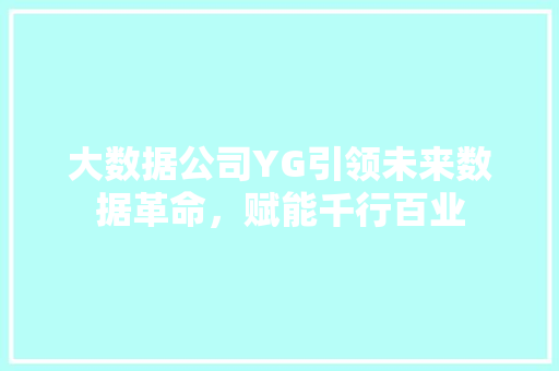 大数据公司YG引领未来数据革命，赋能千行百业