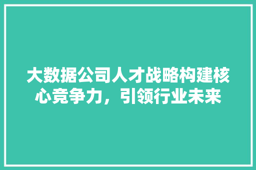 大数据公司人才战略构建核心竞争力，引领行业未来