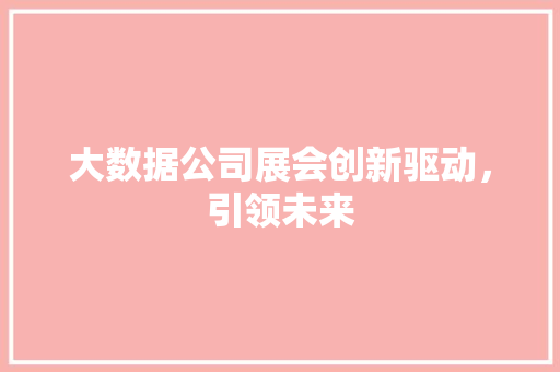 大数据公司展会创新驱动，引领未来