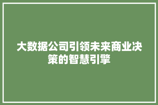 大数据公司引领未来商业决策的智慧引擎