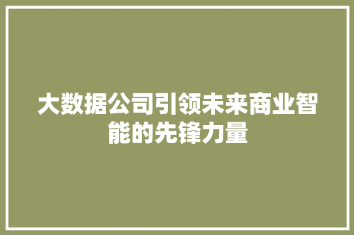 大数据公司引领未来商业智能的先锋力量 Web前端