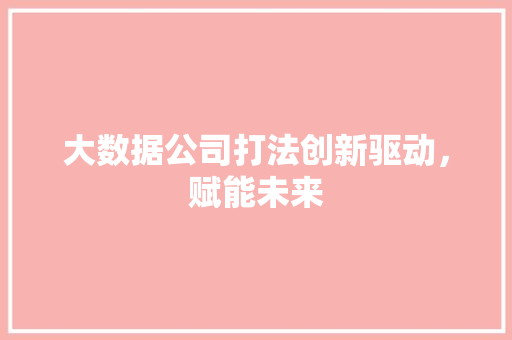 大数据公司打法创新驱动，赋能未来