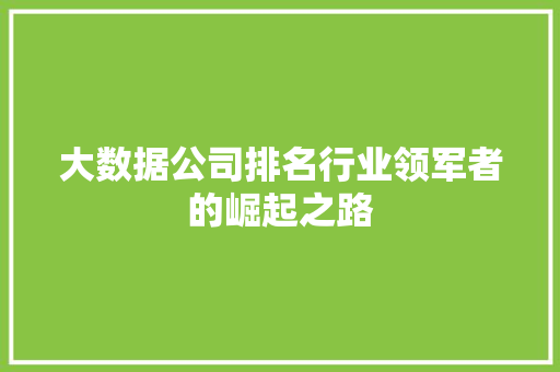 大数据公司排名行业领军者的崛起之路