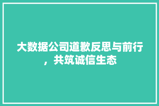 大数据公司道歉反思与前行，共筑诚信生态