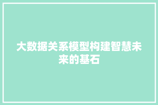 大数据关系模型构建智慧未来的基石