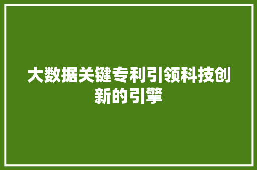 大数据关键专利引领科技创新的引擎