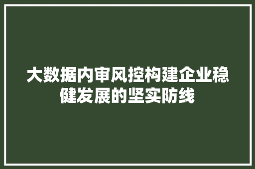 大数据内审风控构建企业稳健发展的坚实防线