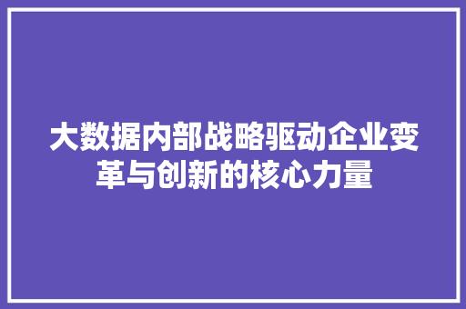 大数据内部战略驱动企业变革与创新的核心力量