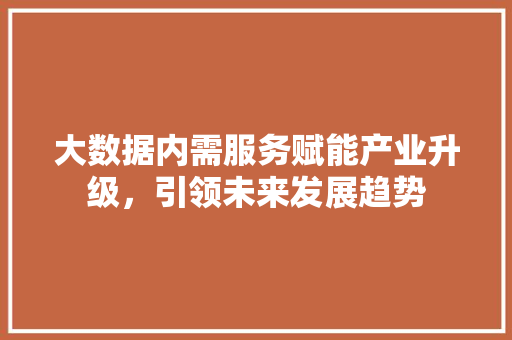 大数据内需服务赋能产业升级，引领未来发展趋势