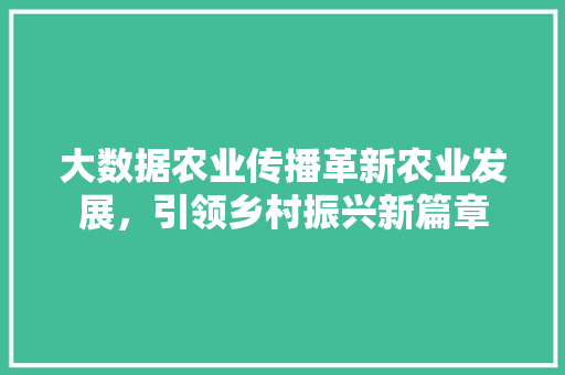 大数据农业传播革新农业发展，引领乡村振兴新篇章
