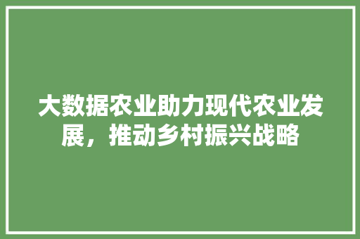 大数据农业助力现代农业发展，推动乡村振兴战略