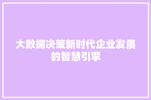 大数据决策新时代企业发展的智慧引擎