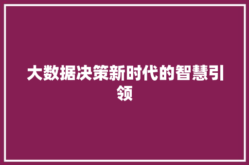 大数据决策新时代的智慧引领