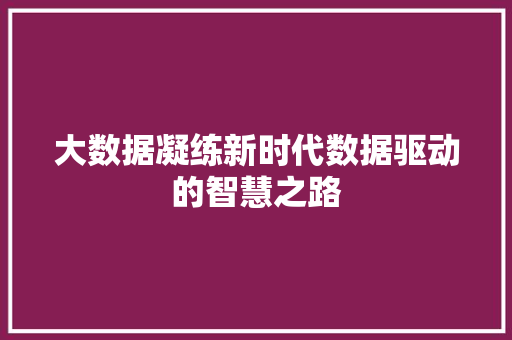 大数据凝练新时代数据驱动的智慧之路