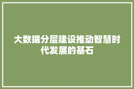 大数据分层建设推动智慧时代发展的基石 建站教程