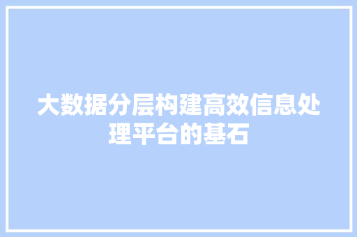 大数据分层构建高效信息处理平台的基石 WordPress教程