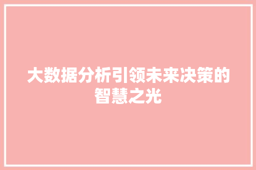 大数据分析引领未来决策的智慧之光