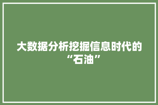 大数据分析挖掘信息时代的“石油”