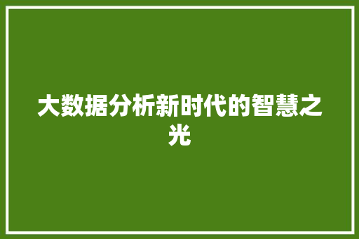 大数据分析新时代的智慧之光