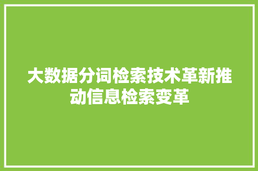 大数据分词检索技术革新推动信息检索变革