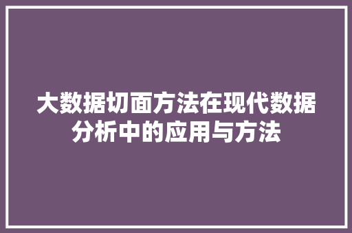 大数据切面方法在现代数据分析中的应用与方法