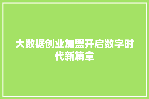 大数据创业加盟开启数字时代新篇章