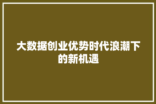 大数据创业优势时代浪潮下的新机遇