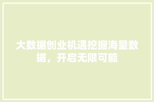 大数据创业机遇挖掘海量数据，开启无限可能