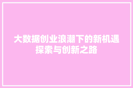 大数据创业浪潮下的新机遇探索与创新之路